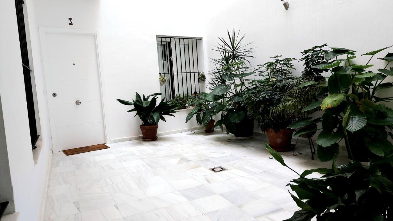 Entrearcos Apartment Cádiz